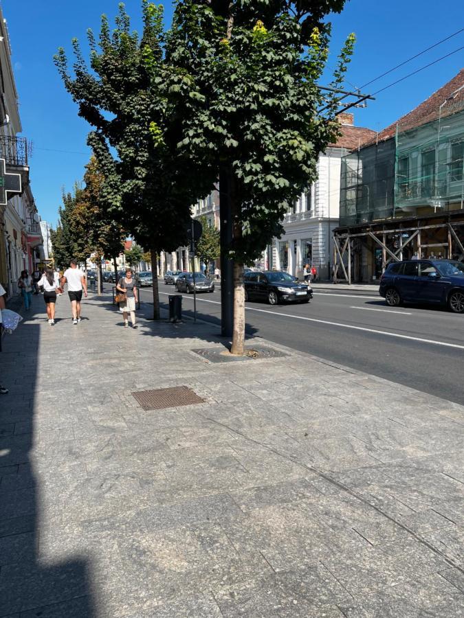 Ndl Downtown Cluj Aparthotel Exterior foto
